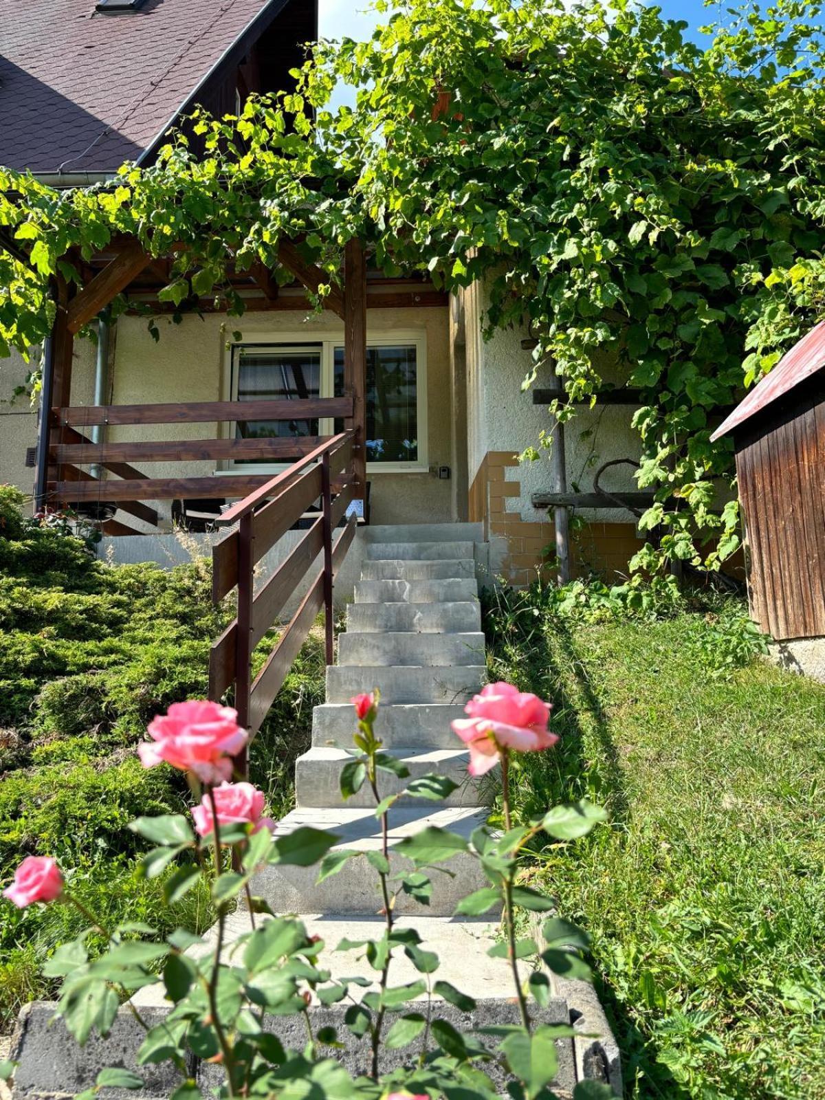 Apartman Vendy Karlovy Vary Exterior photo